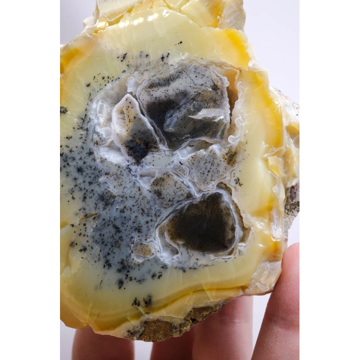 Bal-Sarı ve Buz-Mavi Dendritik Opal Levha - Kuvars Jeot Boşlukları ve Siyah Dendrit Tüyler, 377g