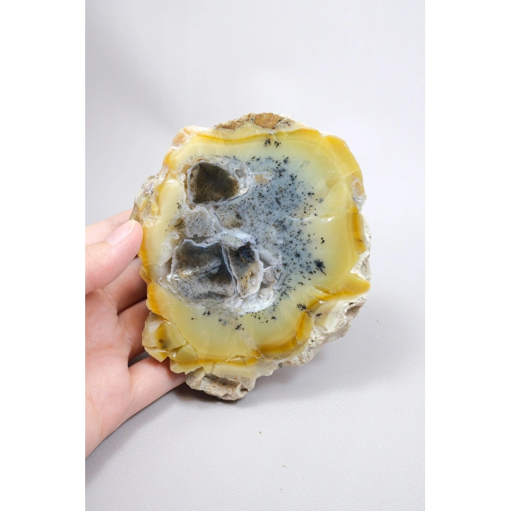 Bal-Sarı ve Buz-Mavi Dendritik Opal Levha - Kuvars Jeot Boşlukları ve Siyah Dendrit Tüyler, 377g
