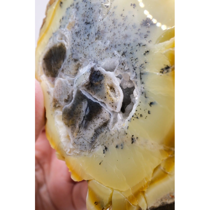 Bal-Sarı ve Buz-Mavi Dendritik Opal Levha - Kuvars Jeot Boşlukları ve Siyah Dendrit Tüyler, 377g