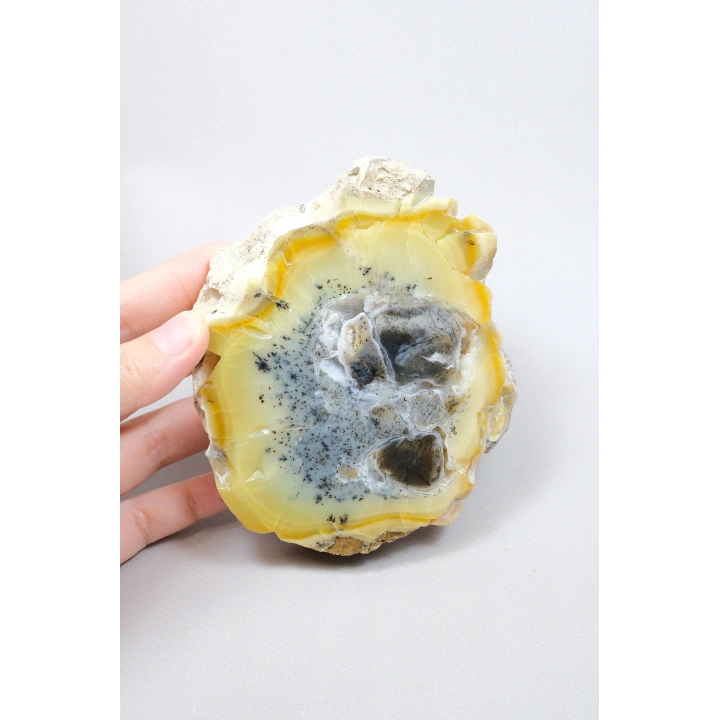 Bal-Sarı ve Buz-Mavi Dendritik Opal Levha - Kuvars Jeot Boşlukları ve Siyah Dendrit Tüyler, 377g