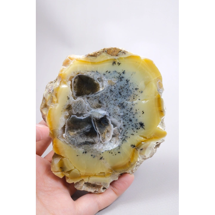 Bal-Sarı ve Buz-Mavi Dendritik Opal Levha - Kuvars Jeot Boşlukları ve Siyah Dendrit Tüyler, 377g