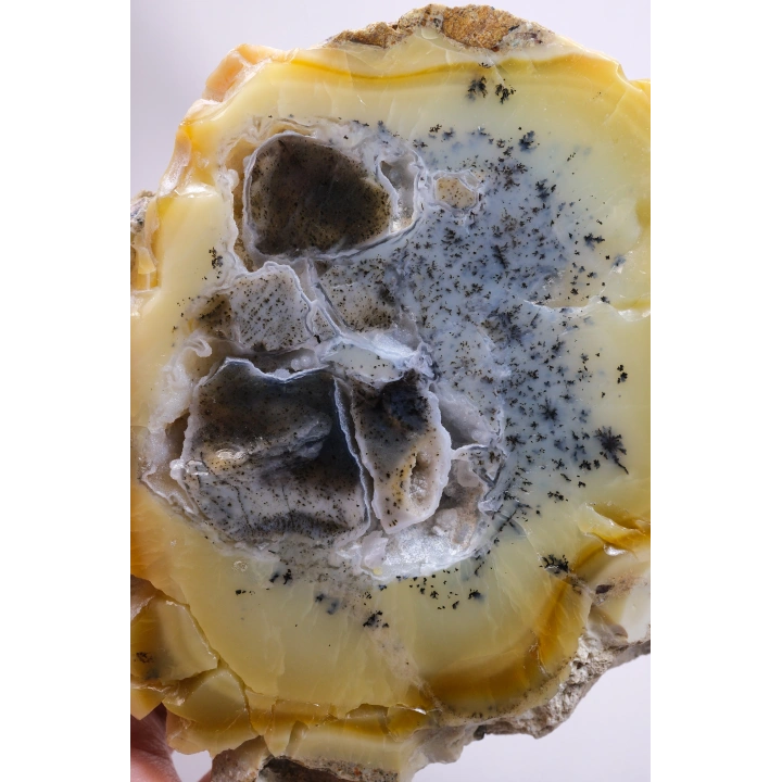 Bal-Sarı ve Buz-Mavi Dendritik Opal Levha - Kuvars Jeot Boşlukları ve Siyah Dendrit Tüyler, 377g