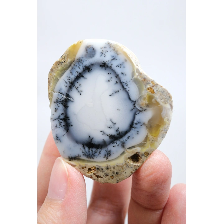 Halkalı Göz Desenli, Buz Mavisi ve Beyaz Dendritik Opal Örneği, 59 g