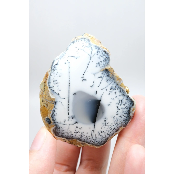Dendritik Opal ile Yolunuzu Aydınlatın: Sihirli Enerji Jeneratörünüz