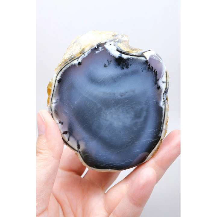 Büyük Merlinite Çifti (Dendiritik Opal) - Cilalanmış Eşleşen Yarım, Müze Kalitesi Numune (468g)