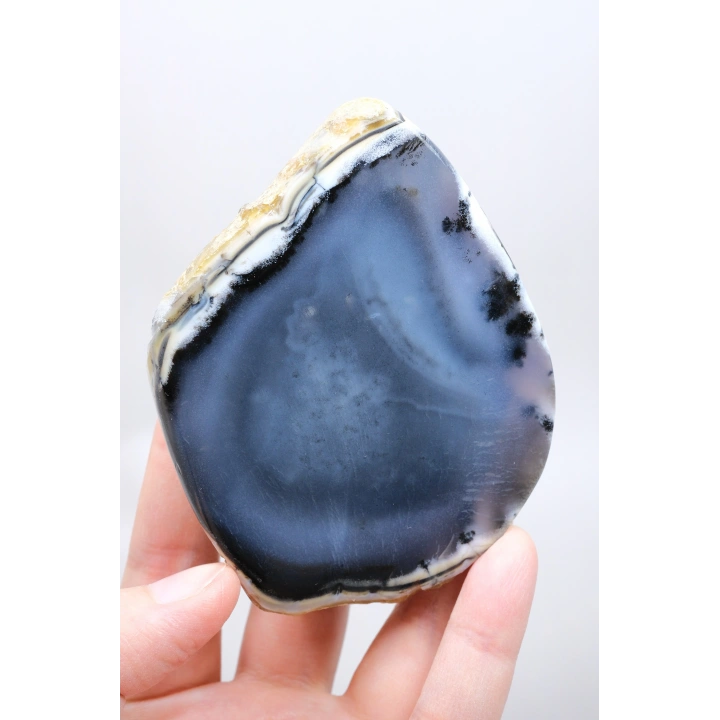 Büyük Merlinite Çifti (Dendiritik Opal) - Cilalanmış Eşleşen Yarım, Müze Kalitesi Numune (468g)