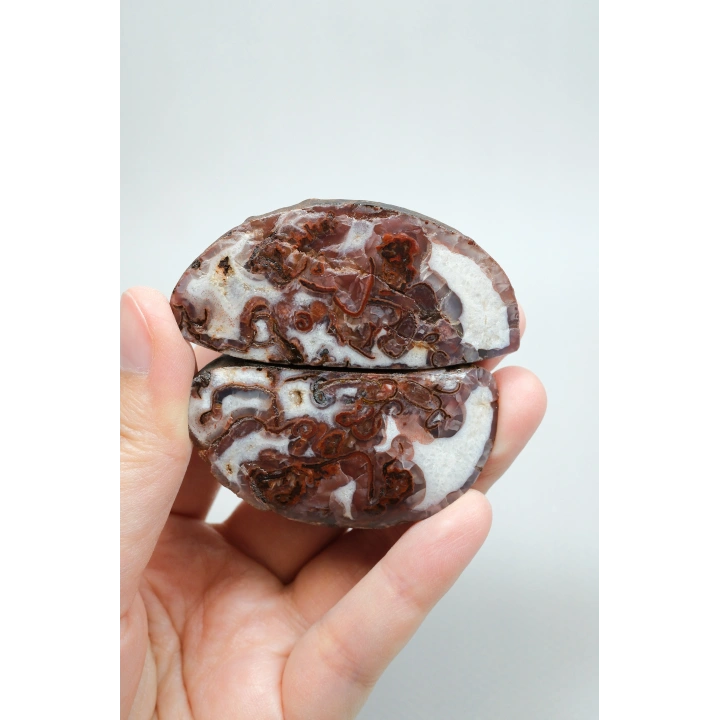 Mahogany Kahverengi, Koyu Tuğla Kırmızısı Nakışlı Siyah Deniz Akik ve Kuvars