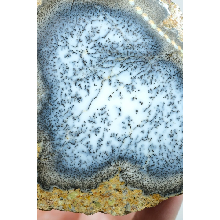 Merlinite (Dendritik Opal) - Mavi ve Beyaz Dendritik Opal Çift