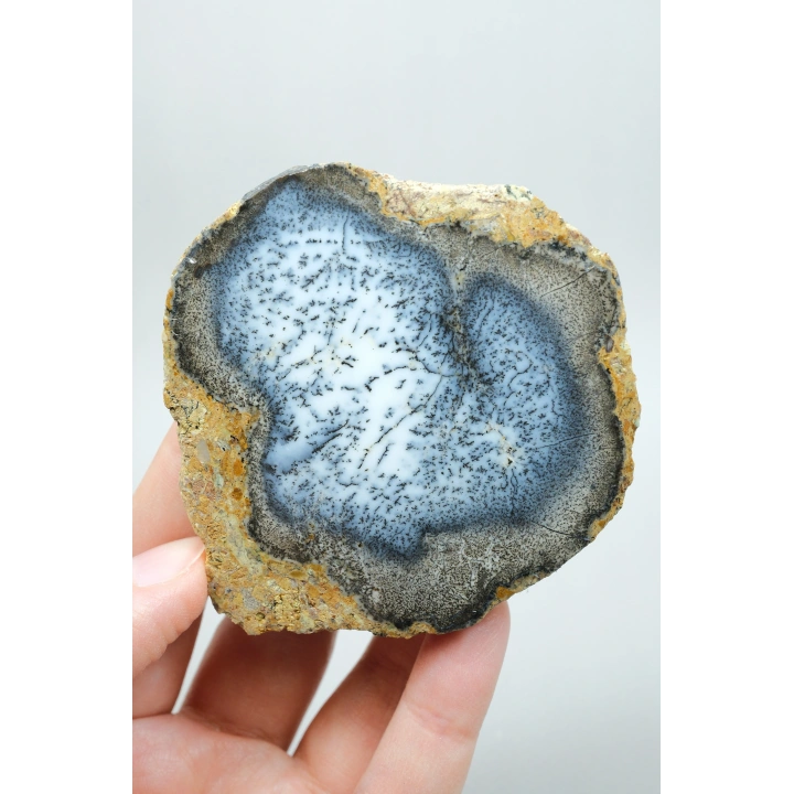 Merlinite (Dendritik Opal) - Mavi ve Beyaz Dendritik Opal Çift
