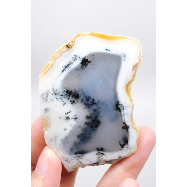 Merlinit (Opale dendritico) - Coppia di Opali Blu e Bianchi | Pietra di Intuizione e Equilibrio