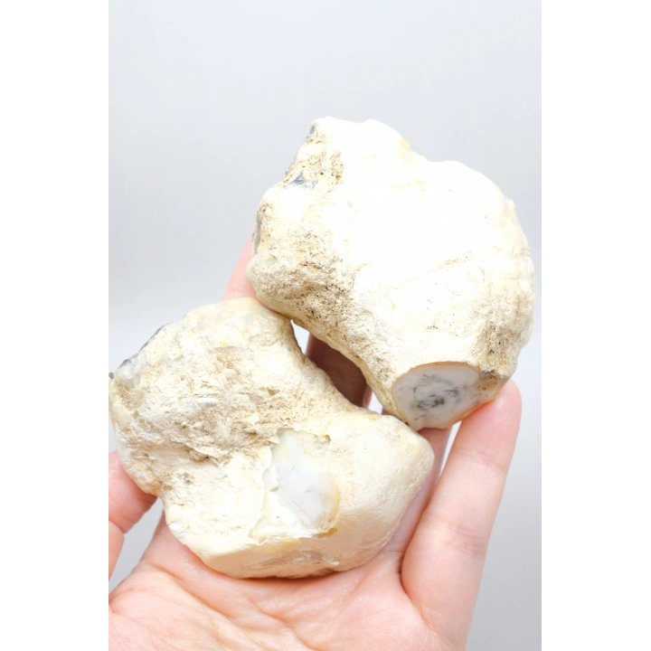 Merlinit (Opale dendritico) - Coppia di Opali Blu e Bianchi | Pietra di Intuizione e Equilibrio