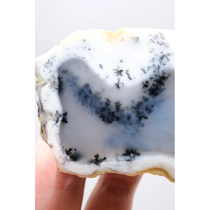 Merlinit (Opale dendritico) - Coppia di Opali Blu e Bianchi | Pietra di Intuizione e Equilibrio