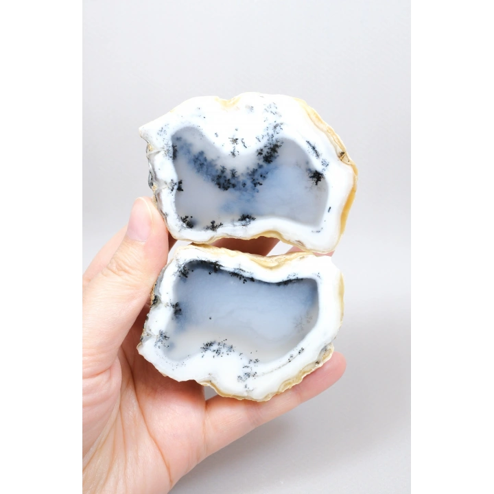 Merlinit (Opale dendritico) - Coppia di Opali Blu e Bianchi | Pietra di Intuizione e Equilibrio