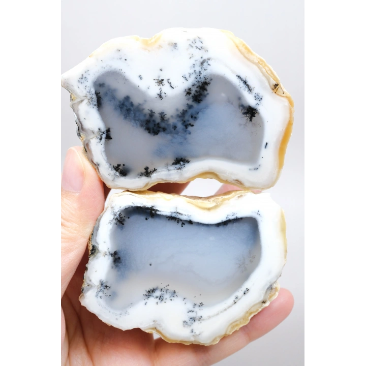 Merlinit (Opale dendritico) - Coppia di Opali Blu e Bianchi | Pietra di Intuizione e Equilibrio