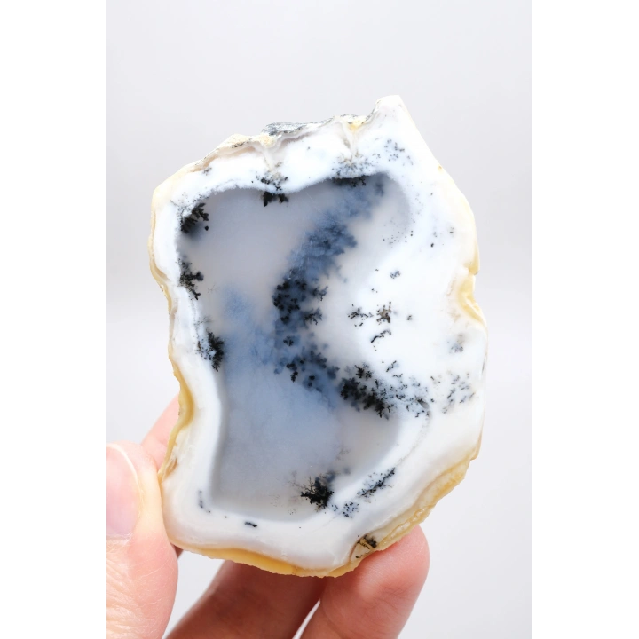 Merlinit (Opale dendritico) - Coppia di Opali Blu e Bianchi | Pietra di Intuizione e Equilibrio