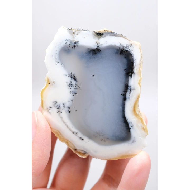 Merlinit (Opale dendritico) - Coppia di Opali Blu e Bianchi | Pietra di Intuizione e Equilibrio