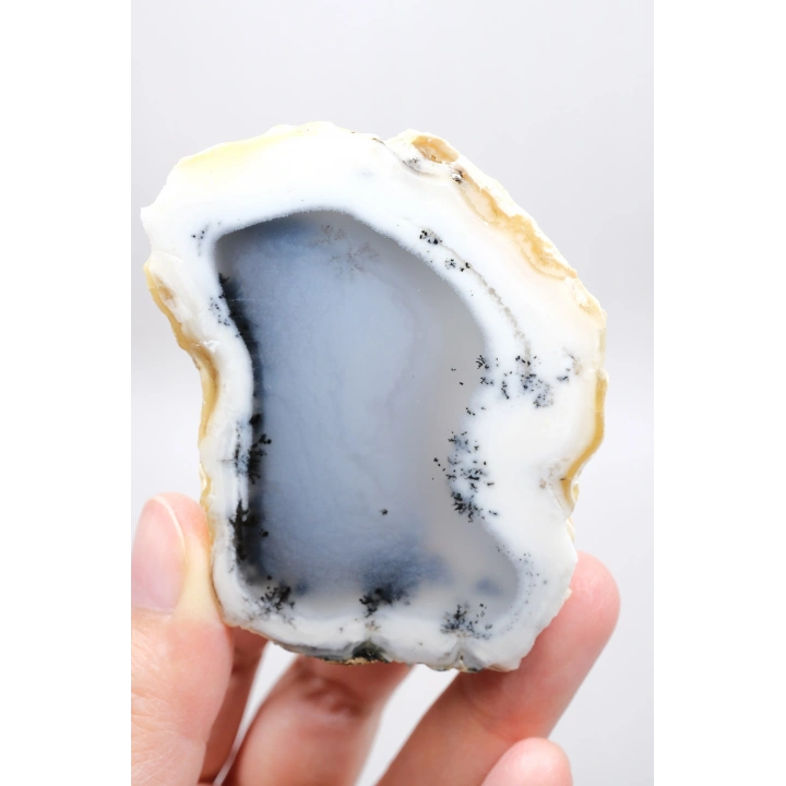 Merlinit (Opale dendritico) - Coppia di Opali Blu e Bianchi | Pietra di Intuizione e Equilibrio
