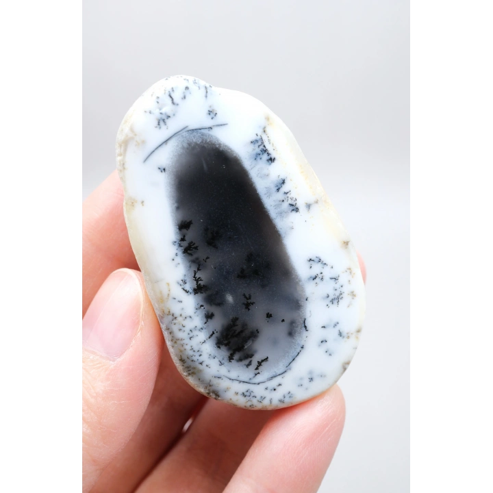 Merlinit (Dendritik Opal) - Mavi Kalsedon ve Bal Opal Cilalanmış Çift | Fikir ve Dengelenme Taşı