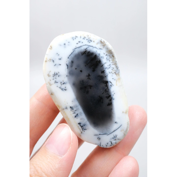 Merlinit (Dendritik Opal) - Mavi Kalsedon ve Bal Opal Cilalanmış Çift | Fikir ve Dengelenme Taşı