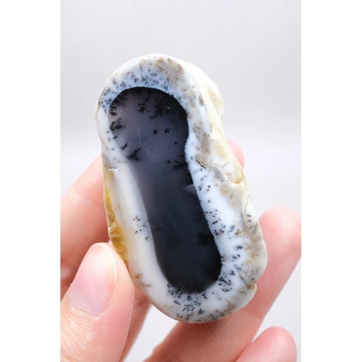 Merlinit (Dendritik Opal) - Mavi Kalsedon ve Bal Opal Cilalanmış Çift | Fikir ve Dengelenme Taşı