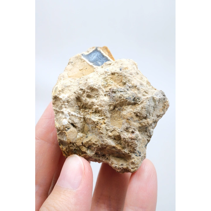 Merlinite 树枝状蛋白石晶洞 —— 内部中空的结核，伴有葡萄状玉髓与立体黑色树枝状纹理，重 67 克