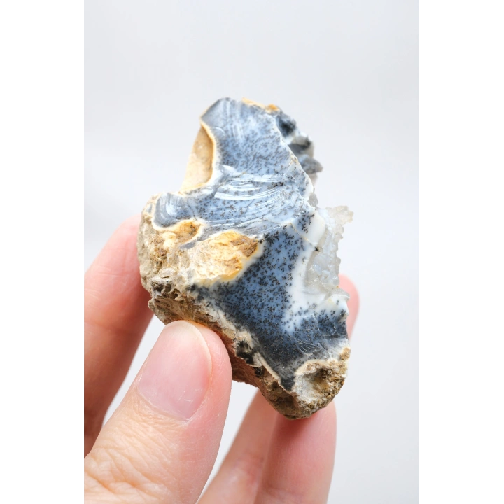 Merlinite 树枝状蛋白石晶洞 —— 内部中空的结核，伴有葡萄状玉髓与立体黑色树枝状纹理，重 67 克