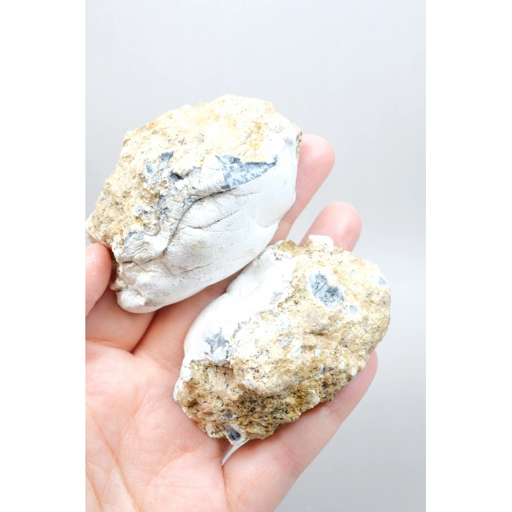 梅林石（树枝状蛋白石）晶洞 – 抛光对半块 | 洞察与阴影炼金术之石