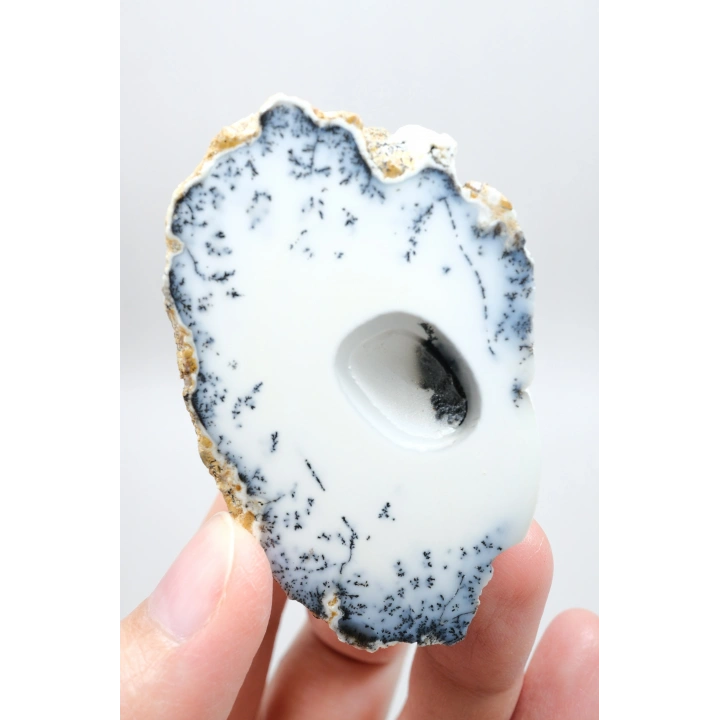 梅林石（树枝状蛋白石）晶洞 – 抛光对半块 | 洞察与阴影炼金术之石