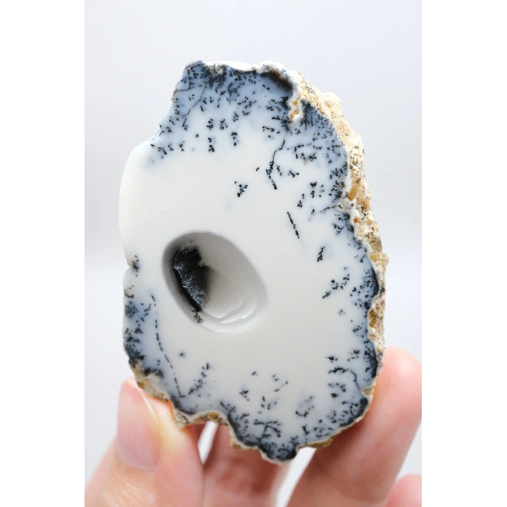 梅林石（树枝状蛋白石）晶洞 – 抛光对半块 | 洞察与阴影炼金术之石
