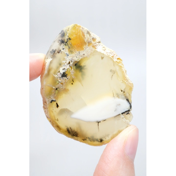 Merlinit Dilimi – Şeffaf Sarı ve Beyaz Dendritik Opal ile İnce Siyah İçerikler, 13g