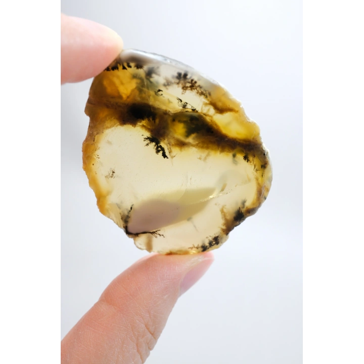 Merlinit Dilimi – Şeffaf Sarı ve Beyaz Dendritik Opal ile İnce Siyah İçerikler, 13g