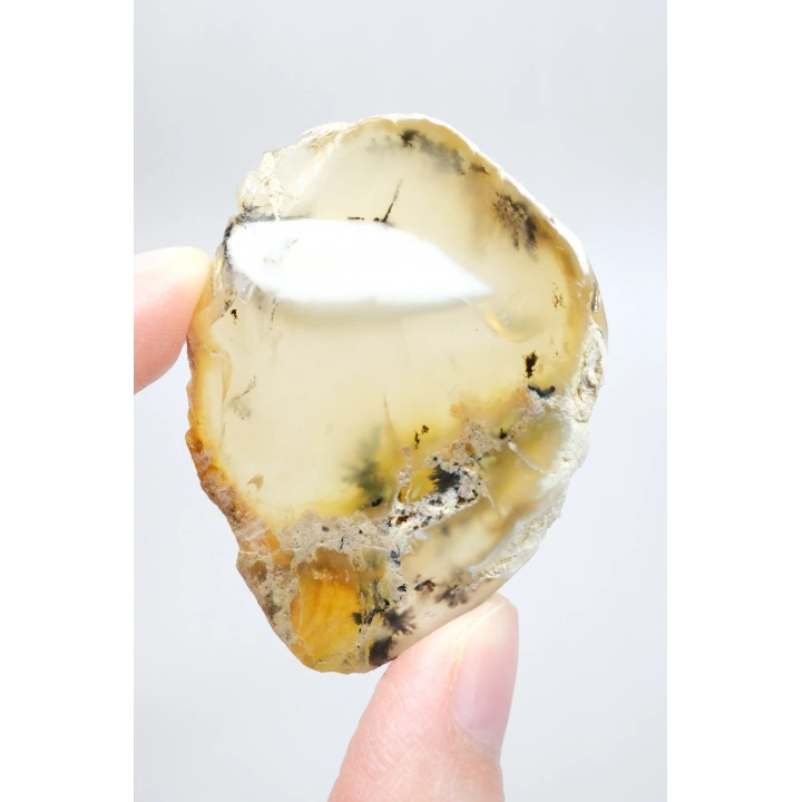 Merlinit Dilimi – Şeffaf Sarı ve Beyaz Dendritik Opal ile İnce Siyah İçerikler, 13g