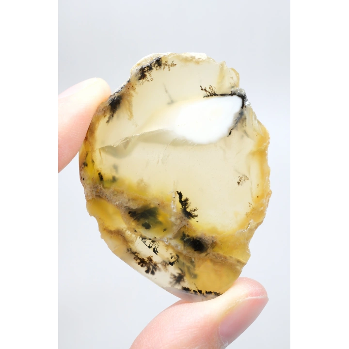 Merlinit Dilimi – Şeffaf Sarı ve Beyaz Dendritik Opal ile İnce Siyah İçerikler, 13g