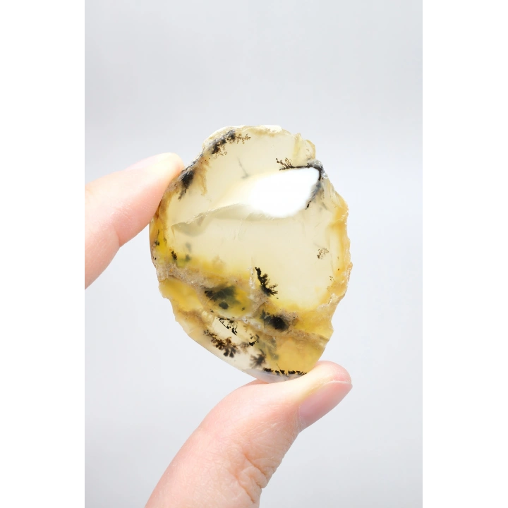 Merlinit Dilimi – Şeffaf Sarı ve Beyaz Dendritik Opal ile İnce Siyah İçerikler, 13g