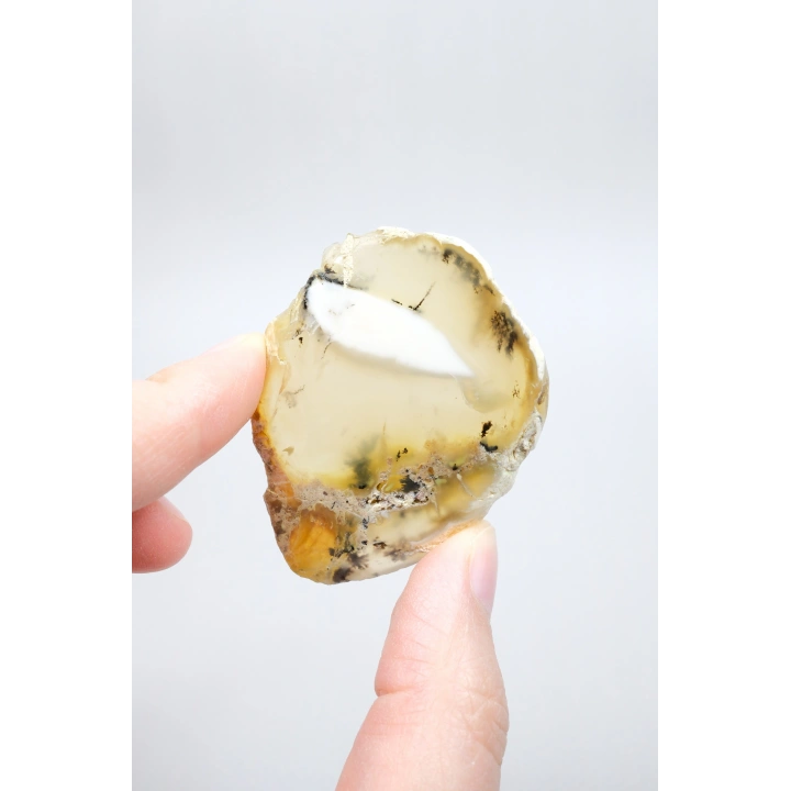 Merlinit Dilimi – Şeffaf Sarı ve Beyaz Dendritik Opal ile İnce Siyah İçerikler, 13g