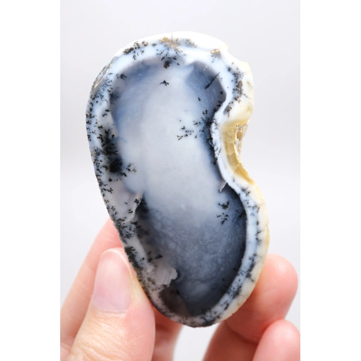 Sisli Orman Dendritli Opal | Derin Mavi ve Kar Beyazı Merlinit Numune