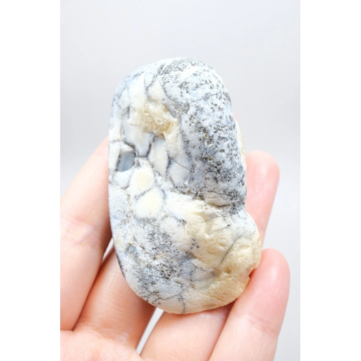 Sisli Orman Dendritli Opal | Derin Mavi ve Kar Beyazı Merlinit Numune