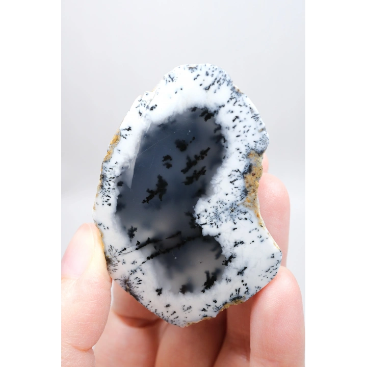Sisli Orman Dendrit Opal | Derin Mavi ve Kar Beyazı Merlinite Örneği, 82g