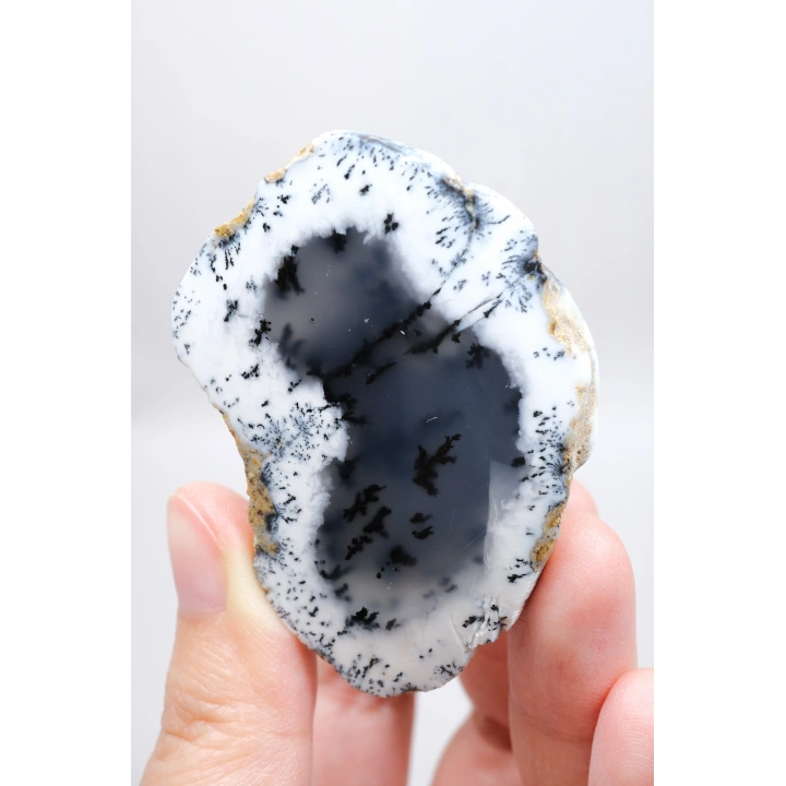 Sisli Orman Dendrit Opal | Derin Mavi ve Kar Beyazı Merlinite Örneği, 82g