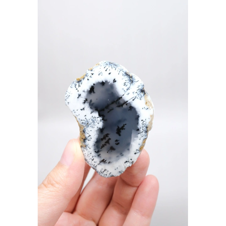 Sisli Orman Dendrit Opal | Derin Mavi ve Kar Beyazı Merlinite Örneği, 82g