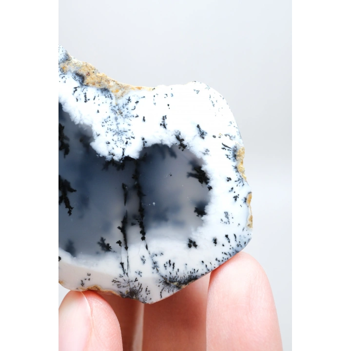 Sisli Orman Dendrit Opal | Derin Mavi ve Kar Beyazı Merlinite Örneği, 82g