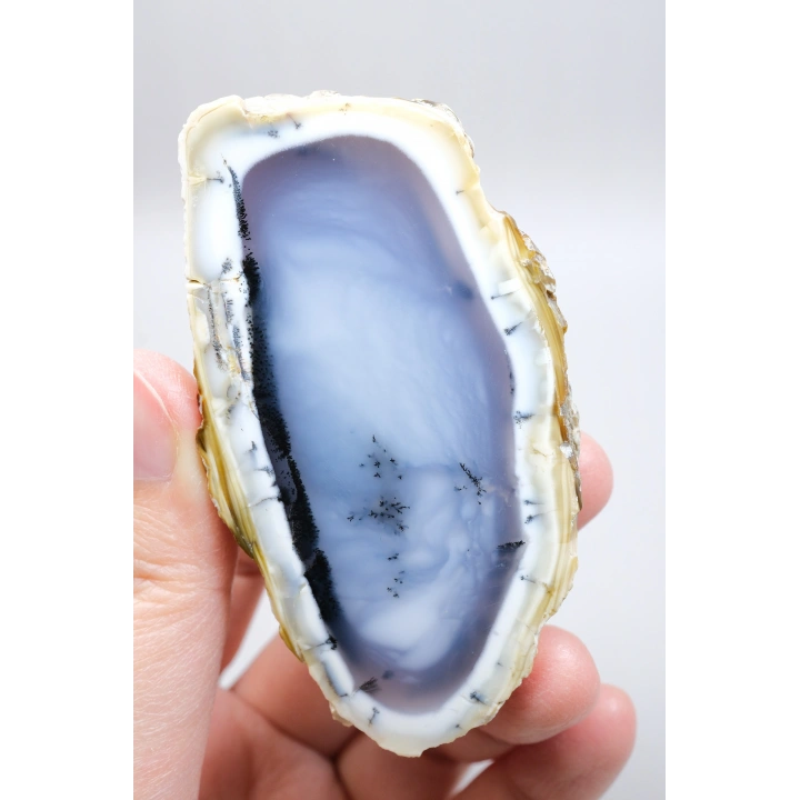 Mist Forest Dendritic Opal | Derin Derin Mavi ve Kar Beyazı