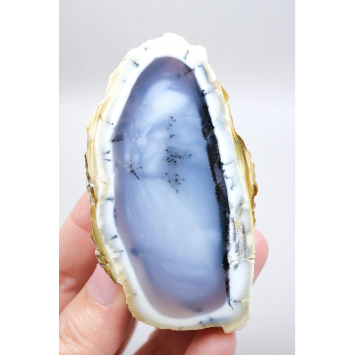 Mist Forest Dendritic Opal | Derin Derin Mavi ve Kar Beyazı