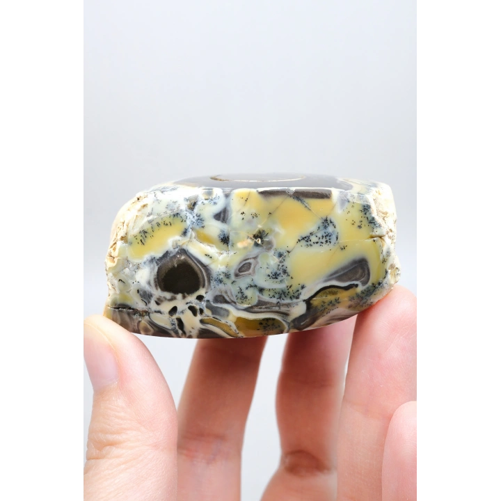 Çok Renkli Merlinit Serbest Form - Sarı, Mavi ve Siyah Dendritik Opal