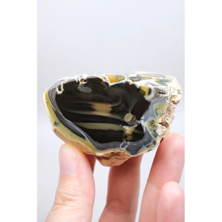Çok Renkli Merlinit Serbest Form - Sarı, Mavi ve Siyah Dendritik Opal