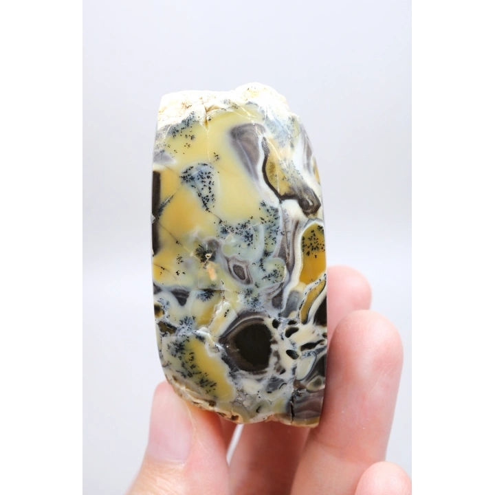 Çok Renkli Merlinit Serbest Form - Sarı, Mavi ve Siyah Dendritik Opal