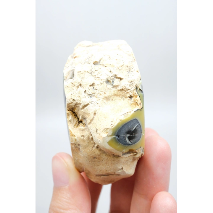 Çok Renkli Merlinit Serbest Form - Sarı, Mavi ve Siyah Dendritik Opal