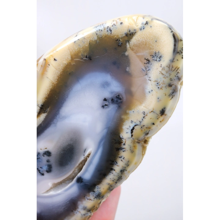 Multicolor Dendritischer Opal Scheibe - Eiskern mit Honiggelbem Band & Feinen Schwarzen Dendriten, 201g