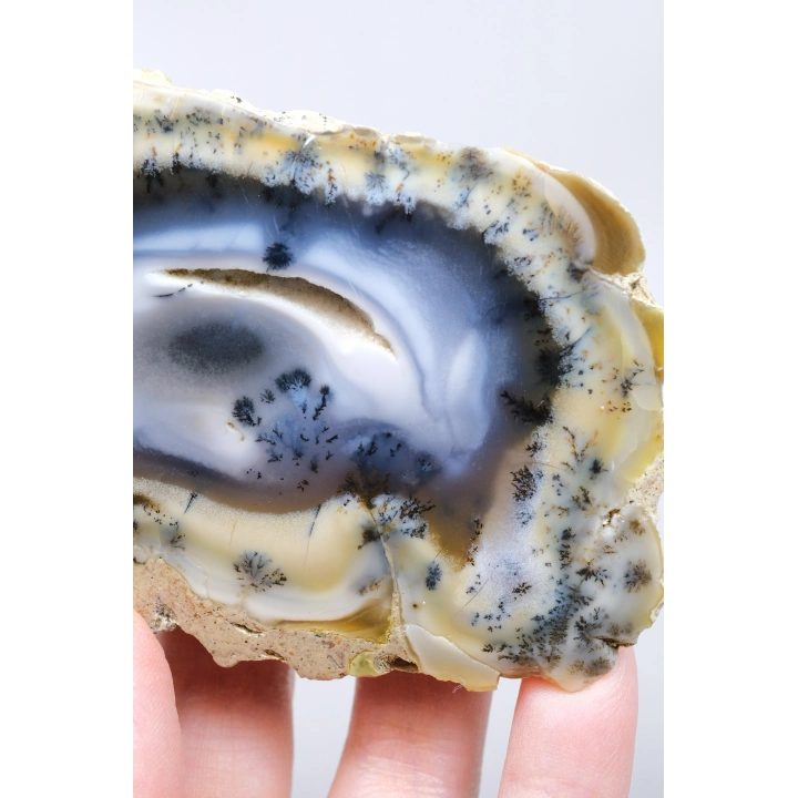 Multicolor Dendritischer Opal Scheibe - Eiskern mit Honiggelbem Band & Feinen Schwarzen Dendriten, 201g