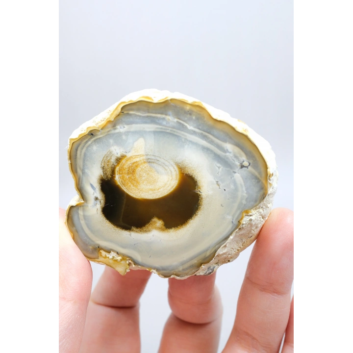 Multicolor Merlinite Dendritic Opal Half | Yumuşak Mavi-Gri, Altın ve Amber Evrensel Göz Numune